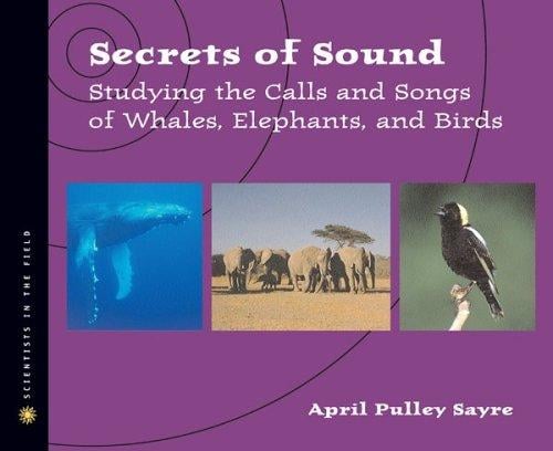 Secrets of Sound