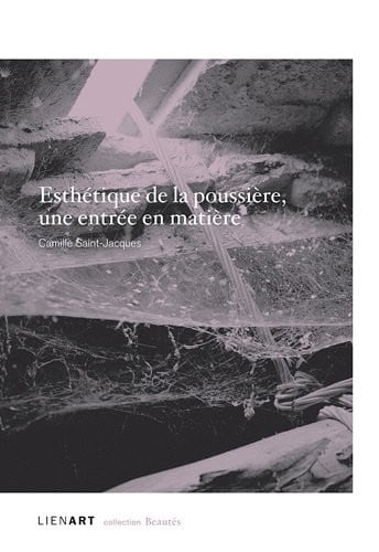 Esthétique de la poussière, une entrée en matière