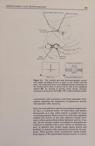 Gynecologic urology and urodynamics