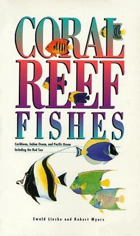 Coral reef fishes