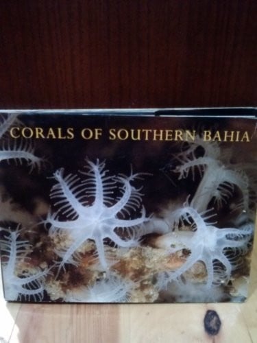 Corals of southern Bahia