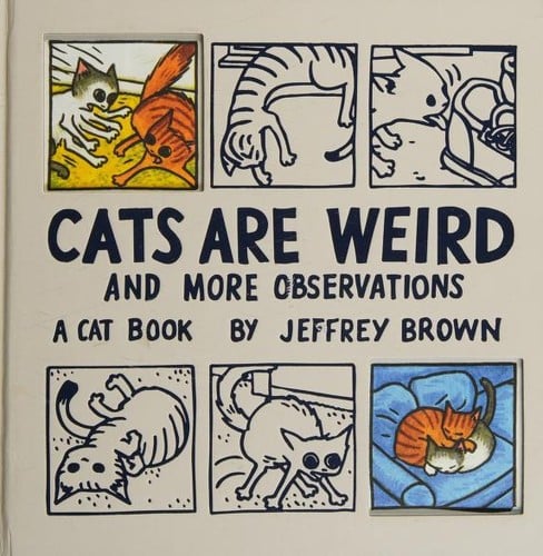 Cats Are Weird And More Observations