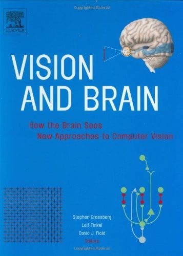 Vision and brain