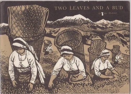 Two leaves and a bud