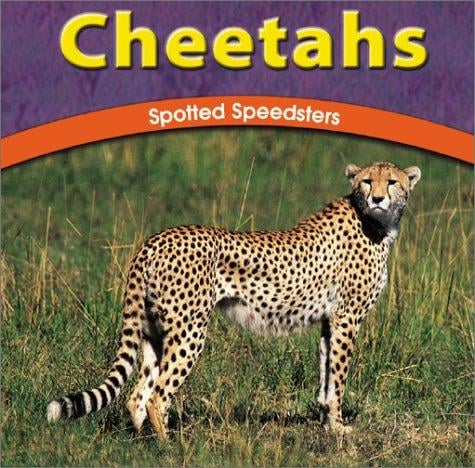 Cheetahs