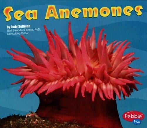 Sea Anemones