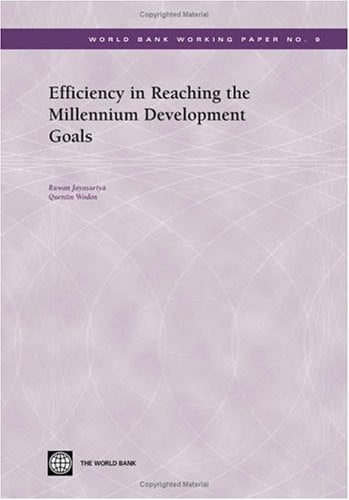Efficiency in reaching the millennium development goals