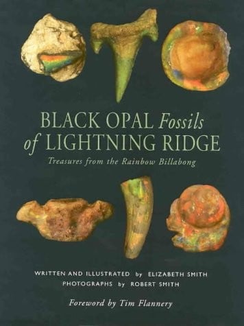 Black opal fossils of Lightning Ridge