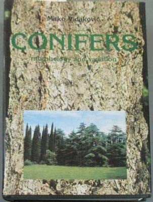 Conifers
