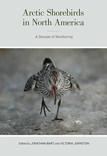 Arctic shorebirds in North America
