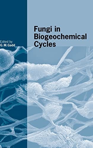 Fungi in biogeochemical cycles