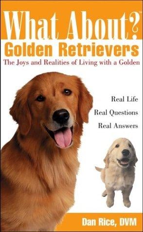 Golden retrievers