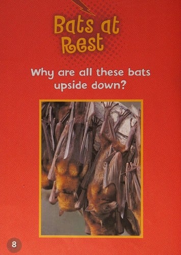 Let's look at bats