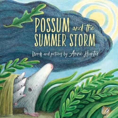 Possum and the summer storm