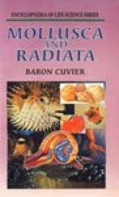 Mollusca and Radiata
