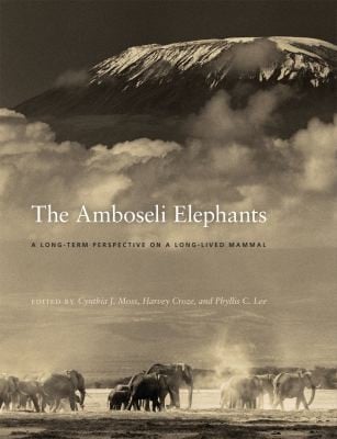 The Amboseli elephants