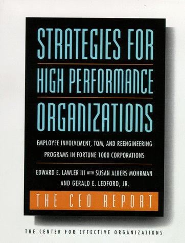 Strategies for high performance organizations