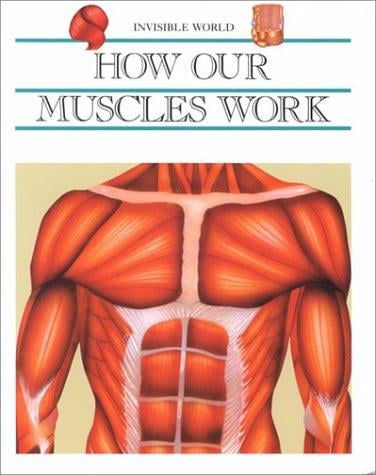 How our muscles work