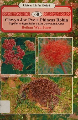 Chwyn Joe Pye a Phincas Robin