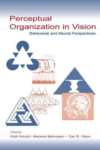 Perceptual organization in vision