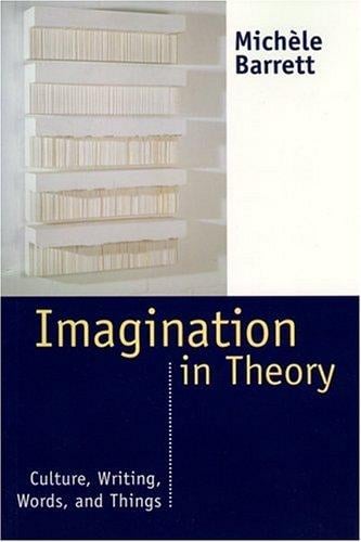 Imagination in theory