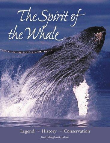 The spirit of the whale