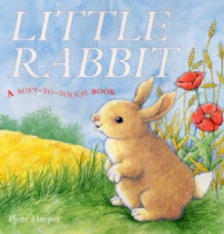 Little Rabbit (Soft-to-Touch S.)