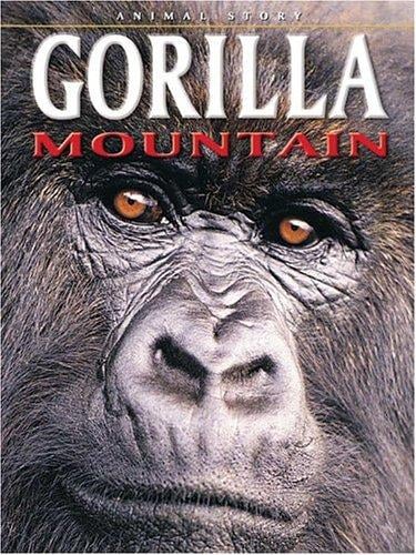 Gorilla Mountain