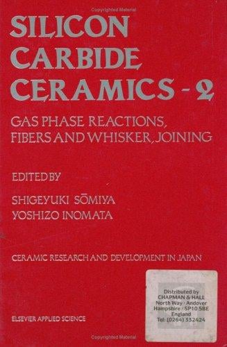 Silicon carbide ceramics