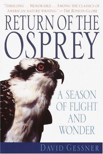 Return of the Osprey