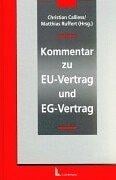 Kommentar des Vertrages über die Europäische Union und des Vertrages zur Gründung der Europäischen Gemeinschaft