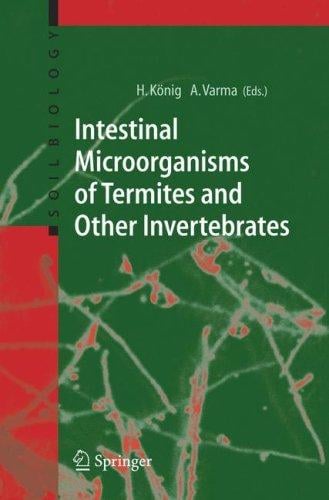 Intestinal microorganisms of termites and other invertebrates