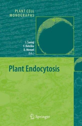 Plant endocytosis