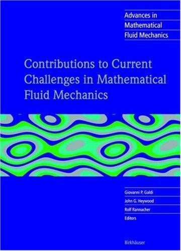 Contributions to current challenges in mathematical fluid mechanics