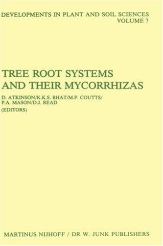 Tree root systems and their mycorrhizas