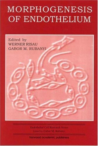 Morphogenesis of endothlium