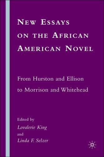 New essays on the African American novel