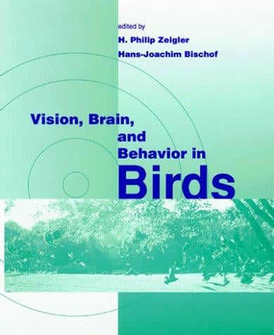 Vision, brain, and behavior in birds