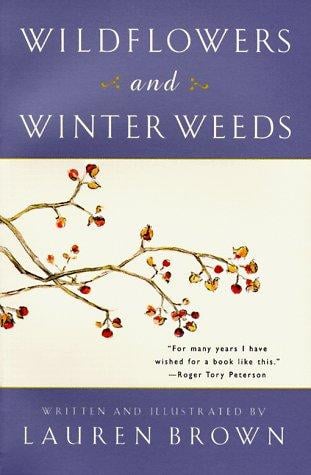Wildflowers and Winter Weeds