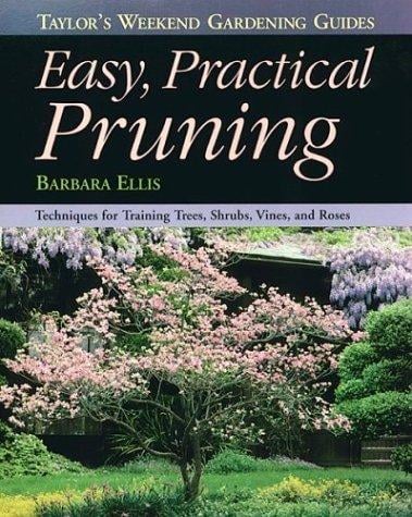 Easy practical pruning