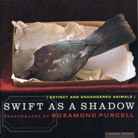Swift as a shadow