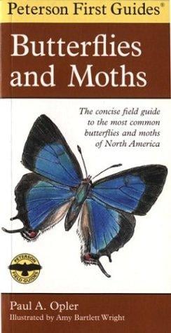 Peterson First Guide to Butterflies and Moths