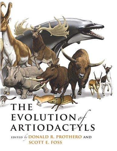 The evolution of artiodactyls
