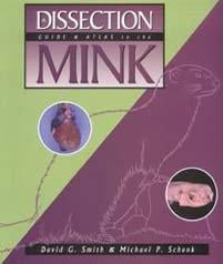 A dissection guide and atlas to the mink