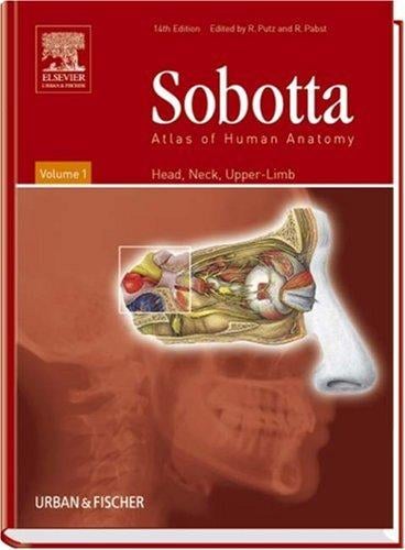 Sobotta atlas of human anatomy