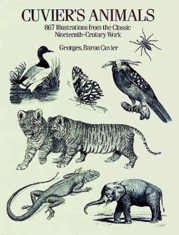 Cuvier's animals