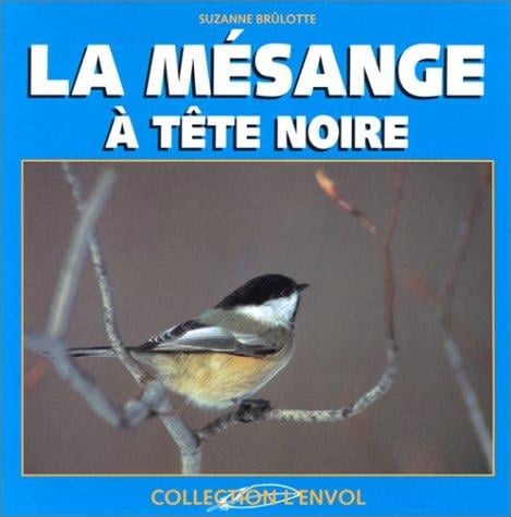 La Mésange à tête noire