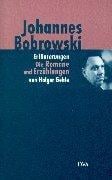 Erläuterungen der Romane und Erzählungen, der Vermischten Prosa und der Selbstzeugnisse