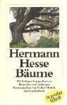 Bäume. Großdruck. Betrachtungen und Gedichte