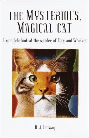 The mysterious, magical cat